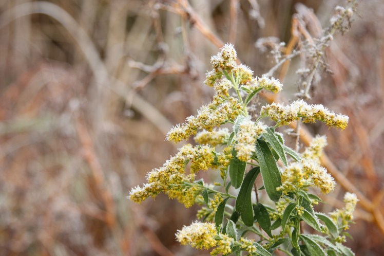 IMG_5755 - Copy - Copy