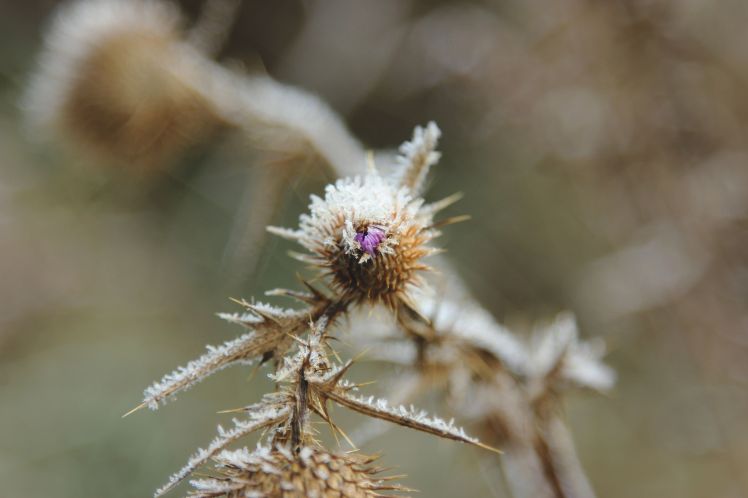 IMG_5762A - Copy - Copy